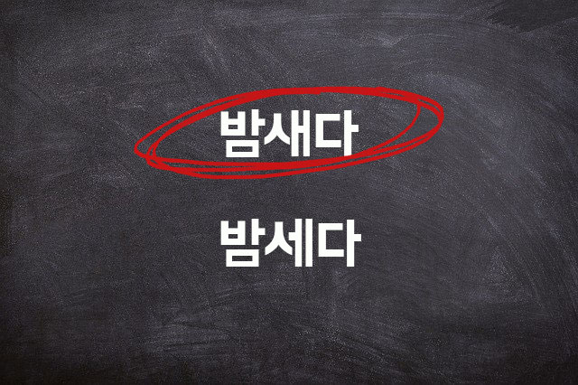  밤새다 밤세다 올바른 맞춤법과 표현법