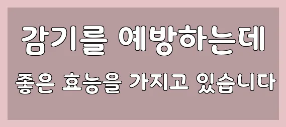  감기를 예방하는데 좋은 효능을 가지고 있습니다