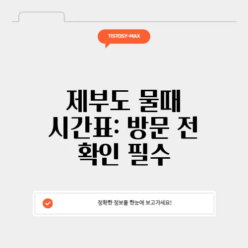 제부도 물때 시간표: 방문 전 확인 필수
