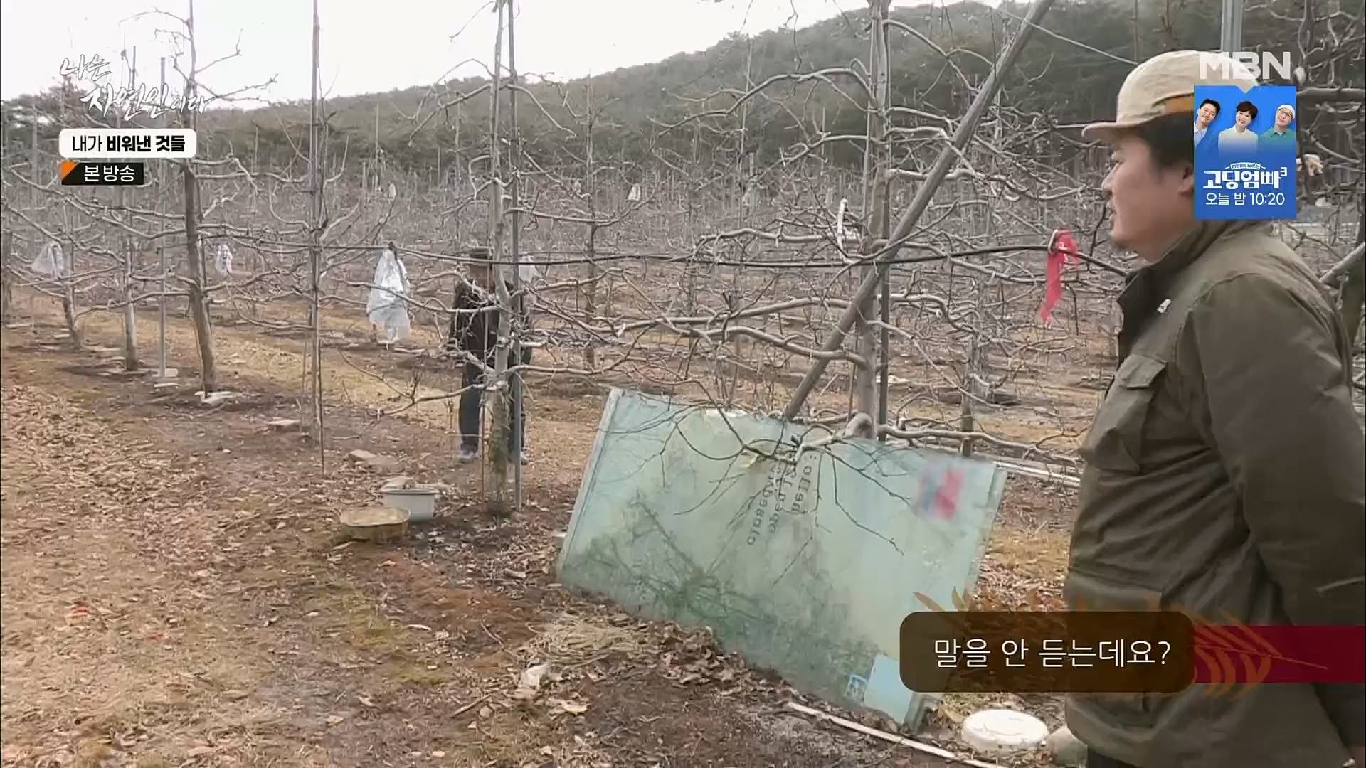 나는 자연인이다.E543.230301p.H264-F1RST.mp4_20230302_192655.090.jpg