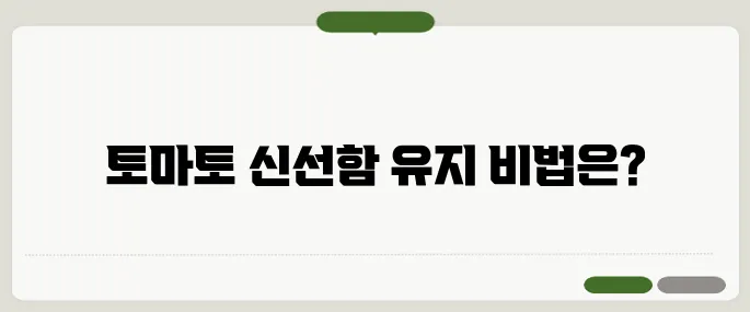 토마토 보관방법 신선하게 유지법