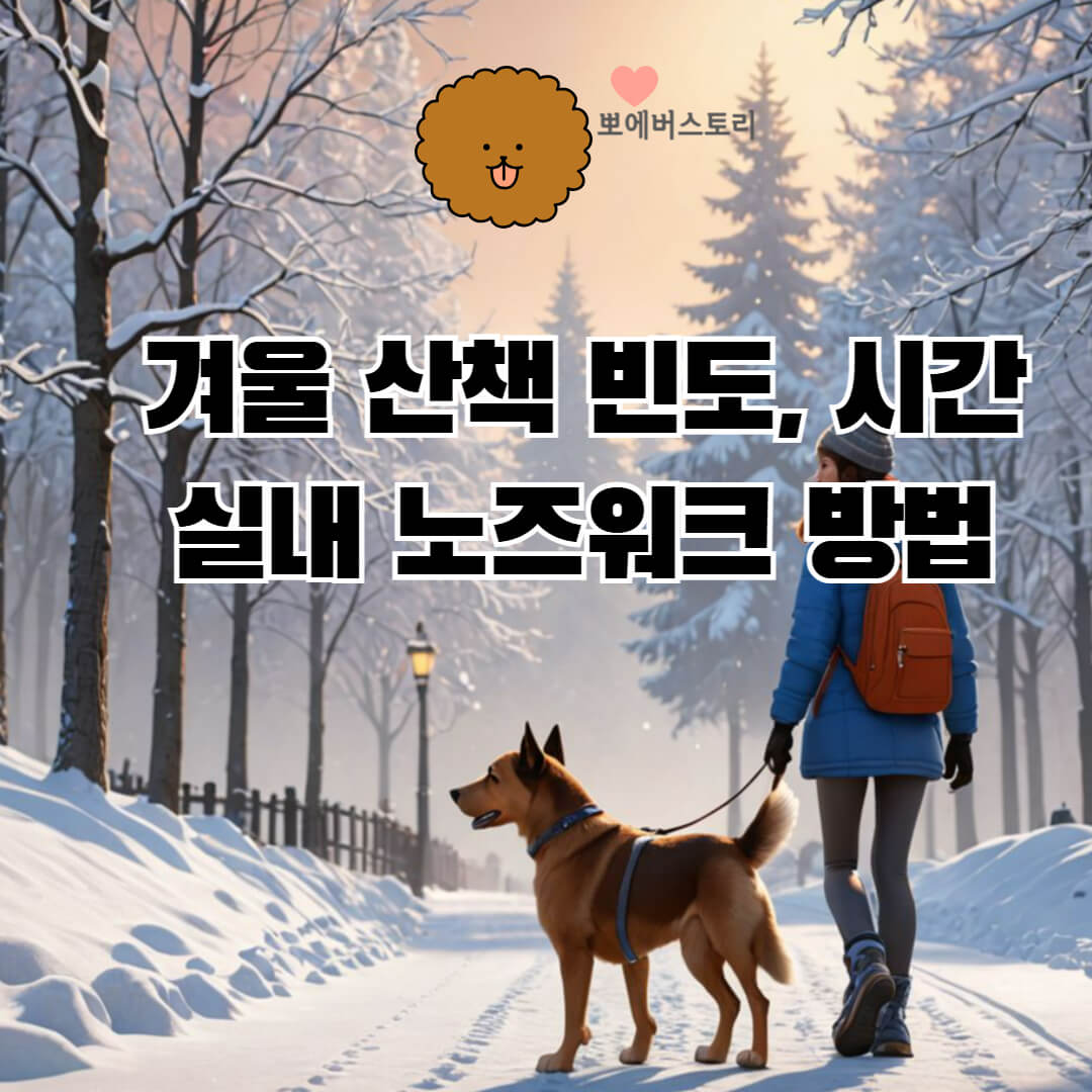강아지 겨울산책 시간
