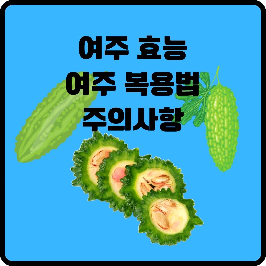 여주 효능 복용법 주의사항