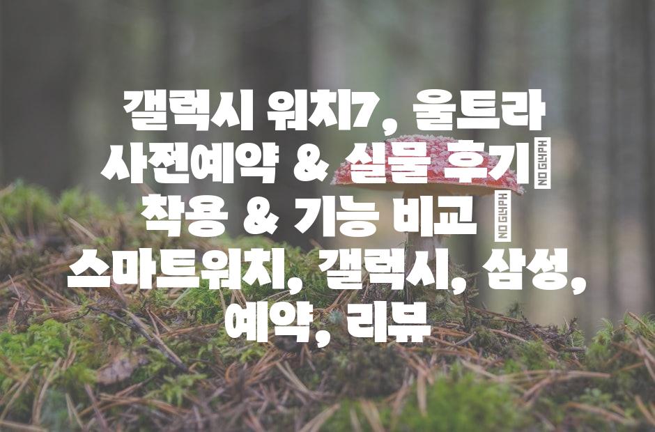 샘플 (42)