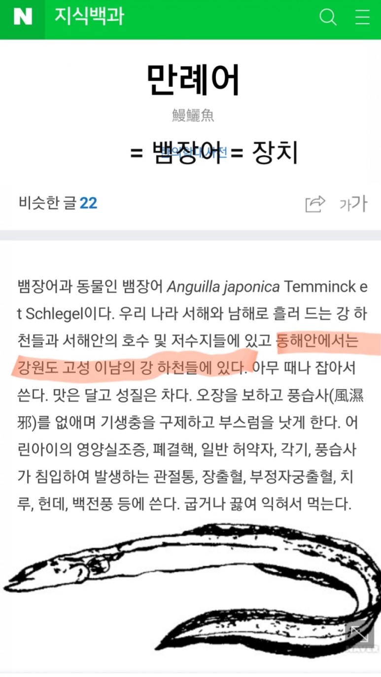 게무침 [속초] 속초가면 꼭 들리는 곳!! 나의 14