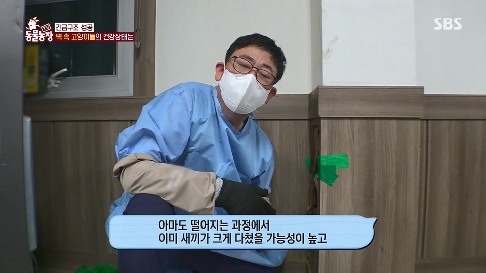 TV 동물농장.E1124.230611p.H264-F1RST.mp4_20230611_173547.620.jpg