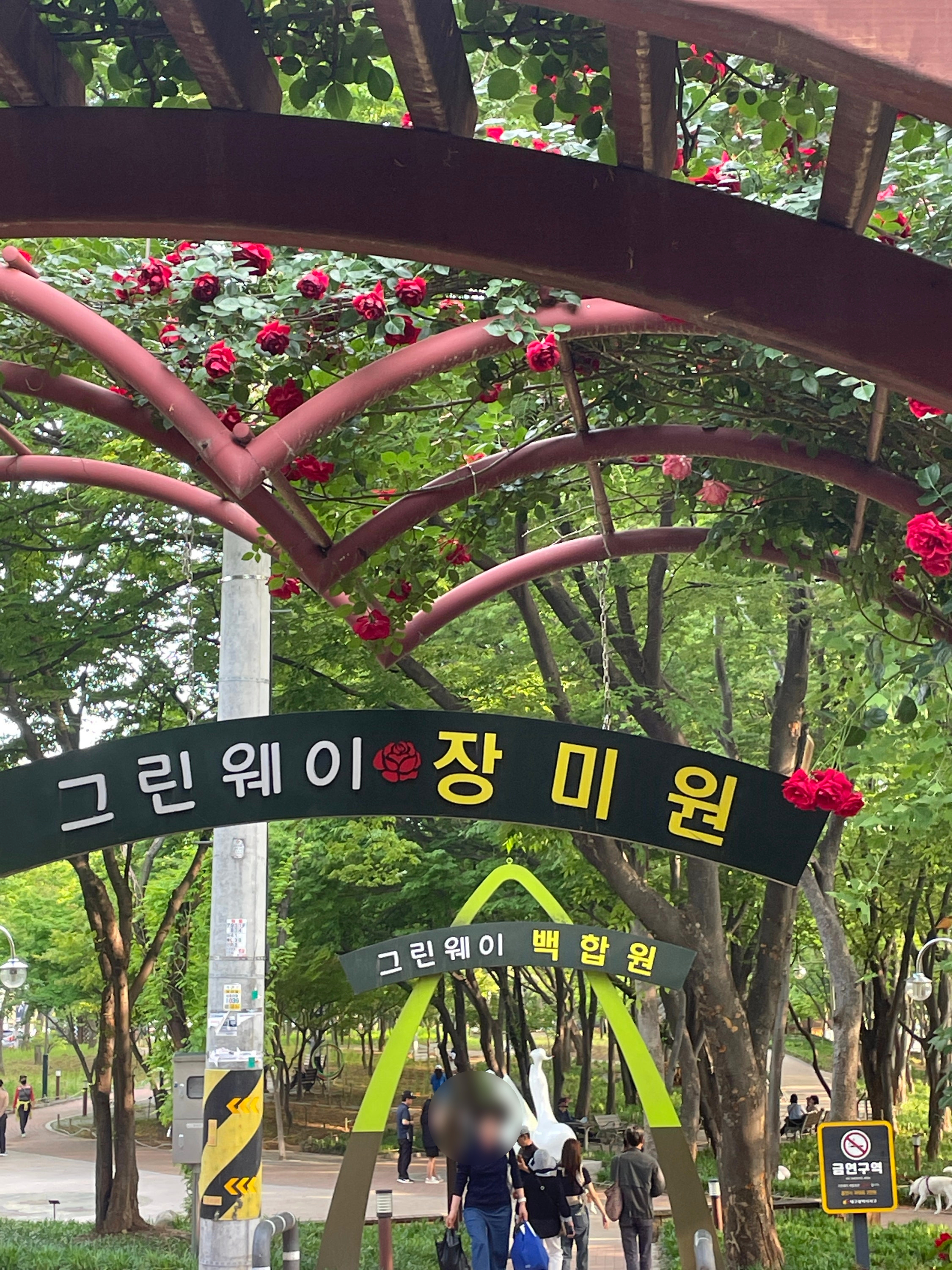 그린웨이 장미원
