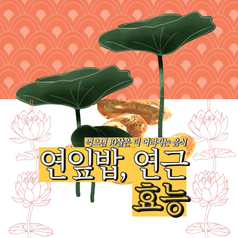 연잎밥&#44; 연근의 효능