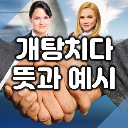  중재가 필요할 땐? 전라도 사투리 "개탕치다"의 뜻과 예시