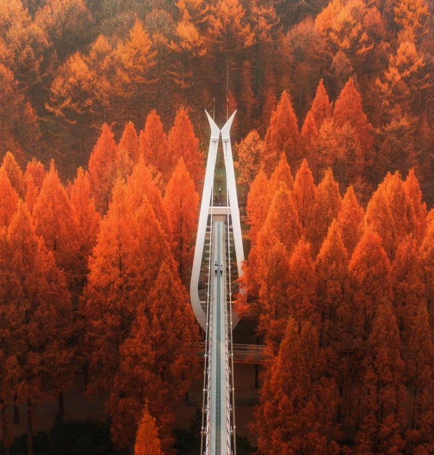 가을 단풍 명소 충청도 여행