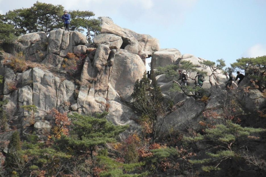 자하 이미지