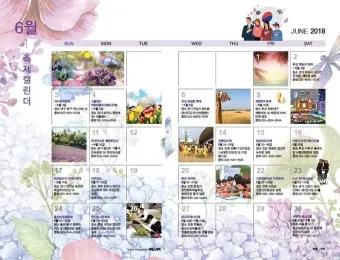 6월 축제 가볼만한 곳 완벽 가이드 2025년 최신_15