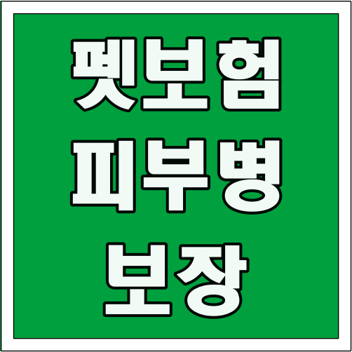 펫보험 피부병 보장 글씨 썸네일