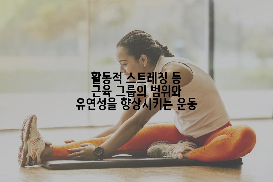 활동적 스트레칭 등 근육 그룹의 범위와 유연성을 향상시키는 운동