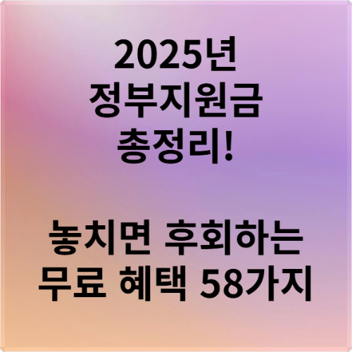 2025년 정부지원금 총정리! 놓치면 후회하는 무료 혜택 58가지