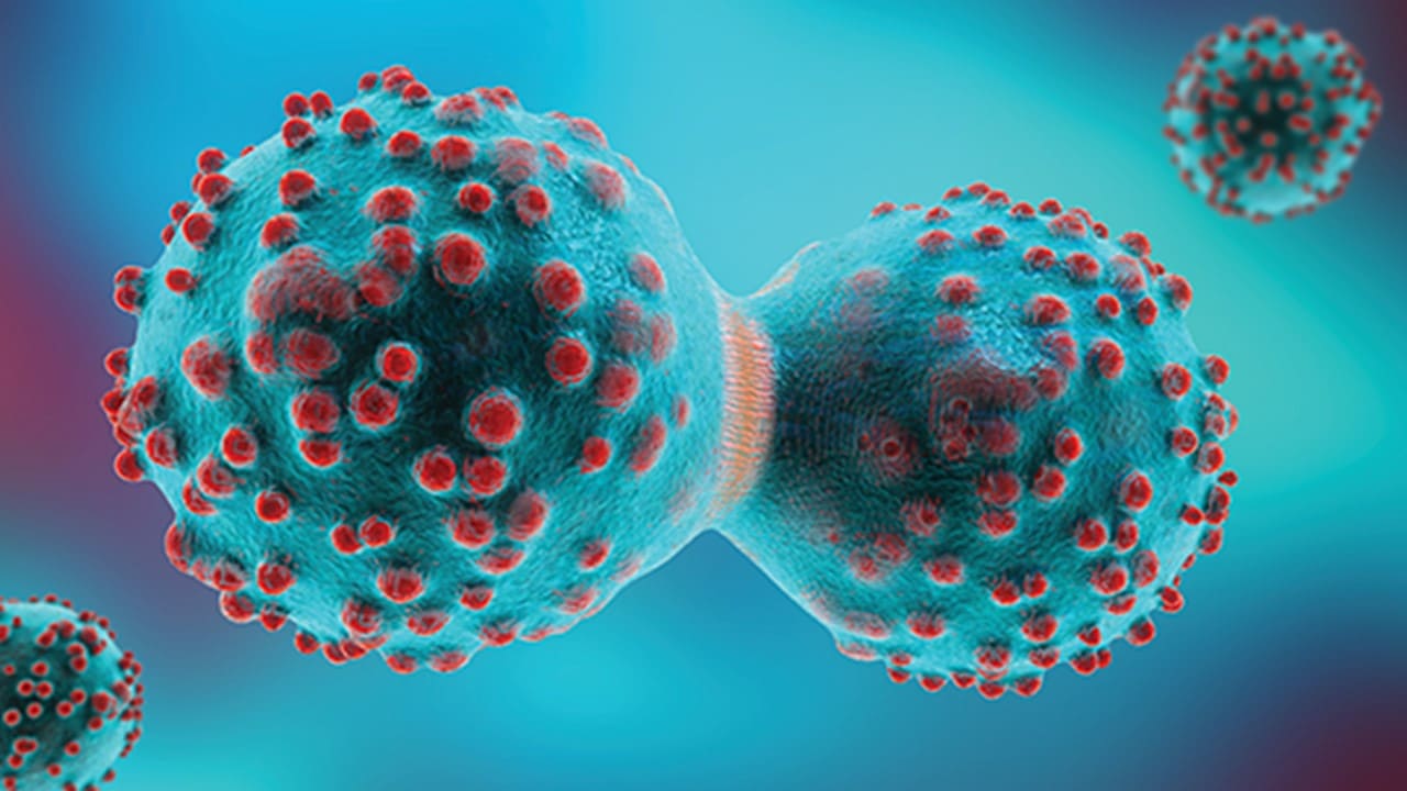 암 예방의 핵심&#44; 면역력 강화