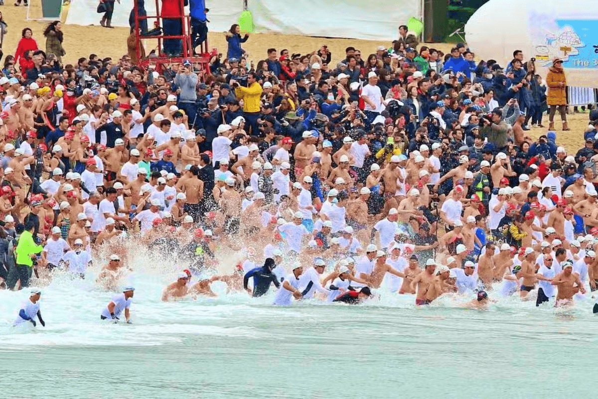 2024 해운대북극곰축제 