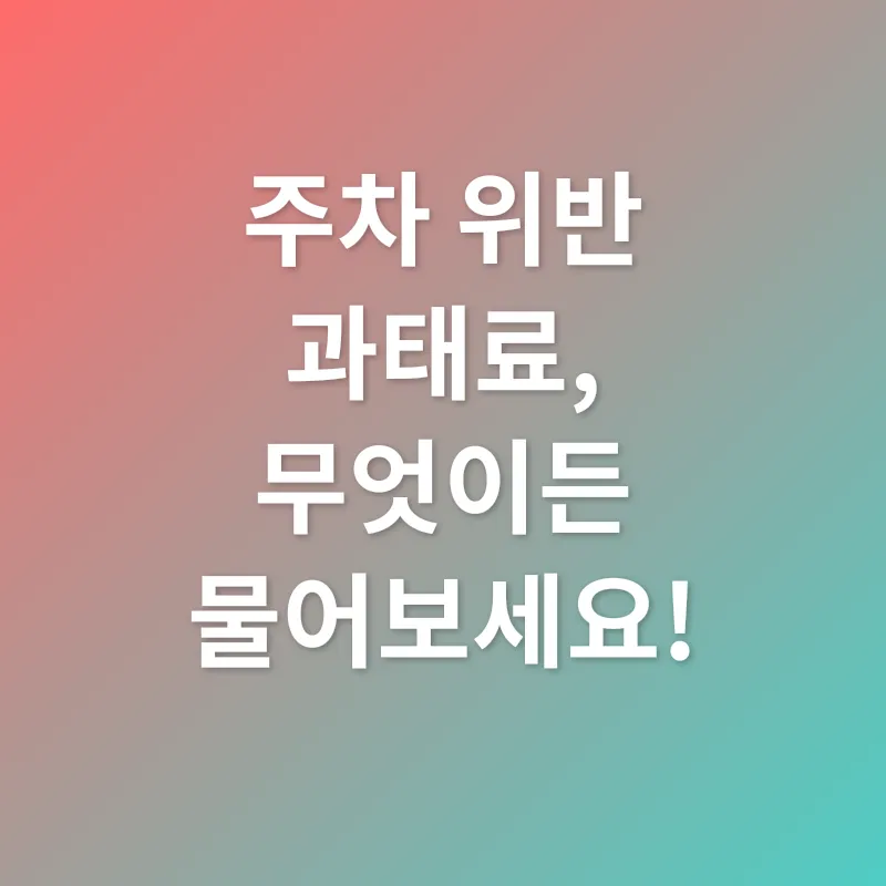주정차 위반 과태료_4