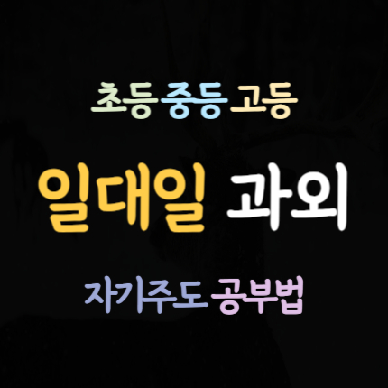  모종동 고등 영어과외 권곡동 중학생 수학과외 초등 중등 국어과외 일대일 영수 전문 내신 대비 수능 준비