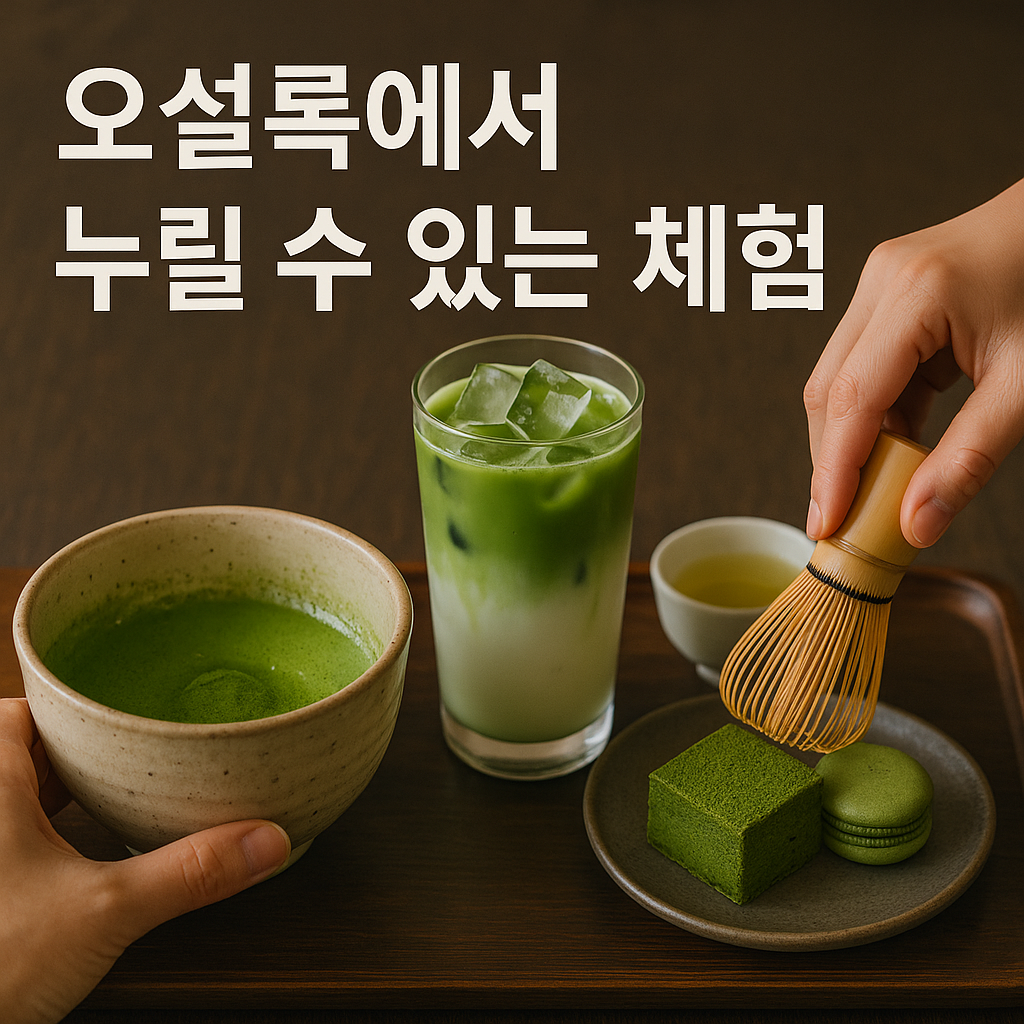 제주 녹차 여행의 정수, 오설록에서 하루