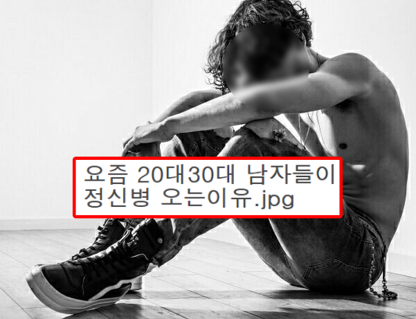  요즘 20대30대 남자들이 정신병 오는 이유..