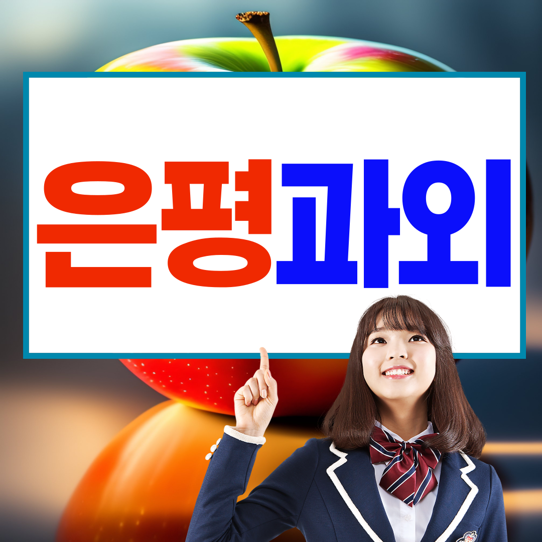  은평뉴타운 중등 수학과외 고등 마고정 영어과외 실력키우기