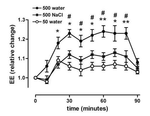 물을 마시면 에너지와 뇌 기능을 향상해준다.