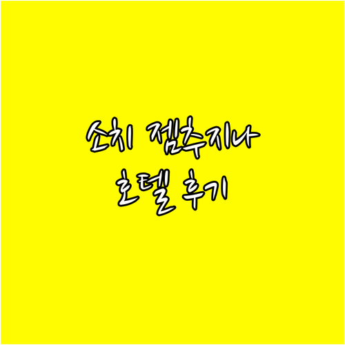 소치 젬추지나 호텔 후기.. 887개