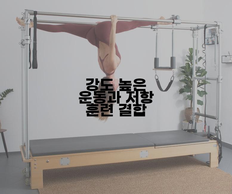 강도 높은 운동과 저항 훈련 결합