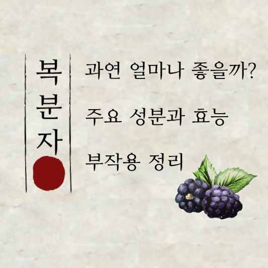 복분자 주요 성분, 효능, 부작용