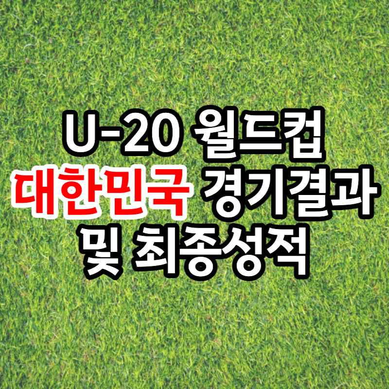 U-20 월드컵 대한민국 경기결과 및 최종성적 썸네일