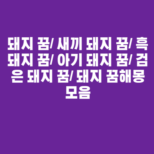 새끼돼지 꿈 해몽 5가지 풀이에 대해 알아보기