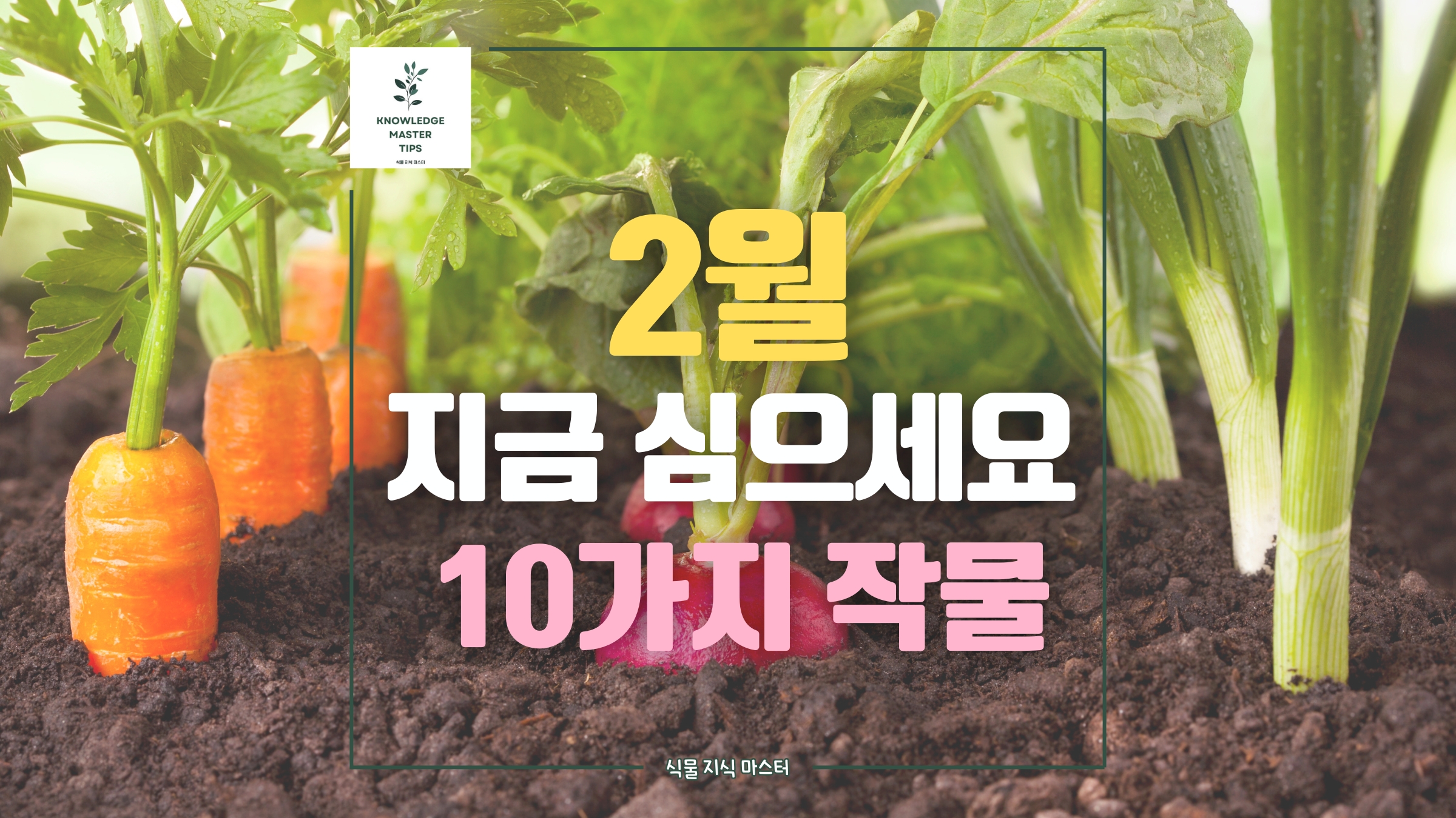 2월에 심는 작물 10가지, 지금 바로 심으세요