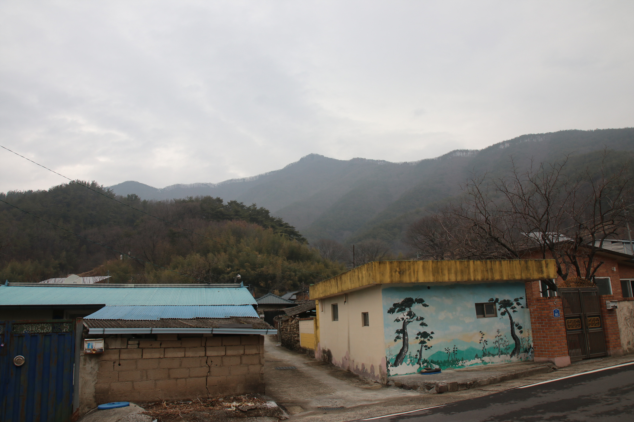 경남 의령군 국사봉 05 76