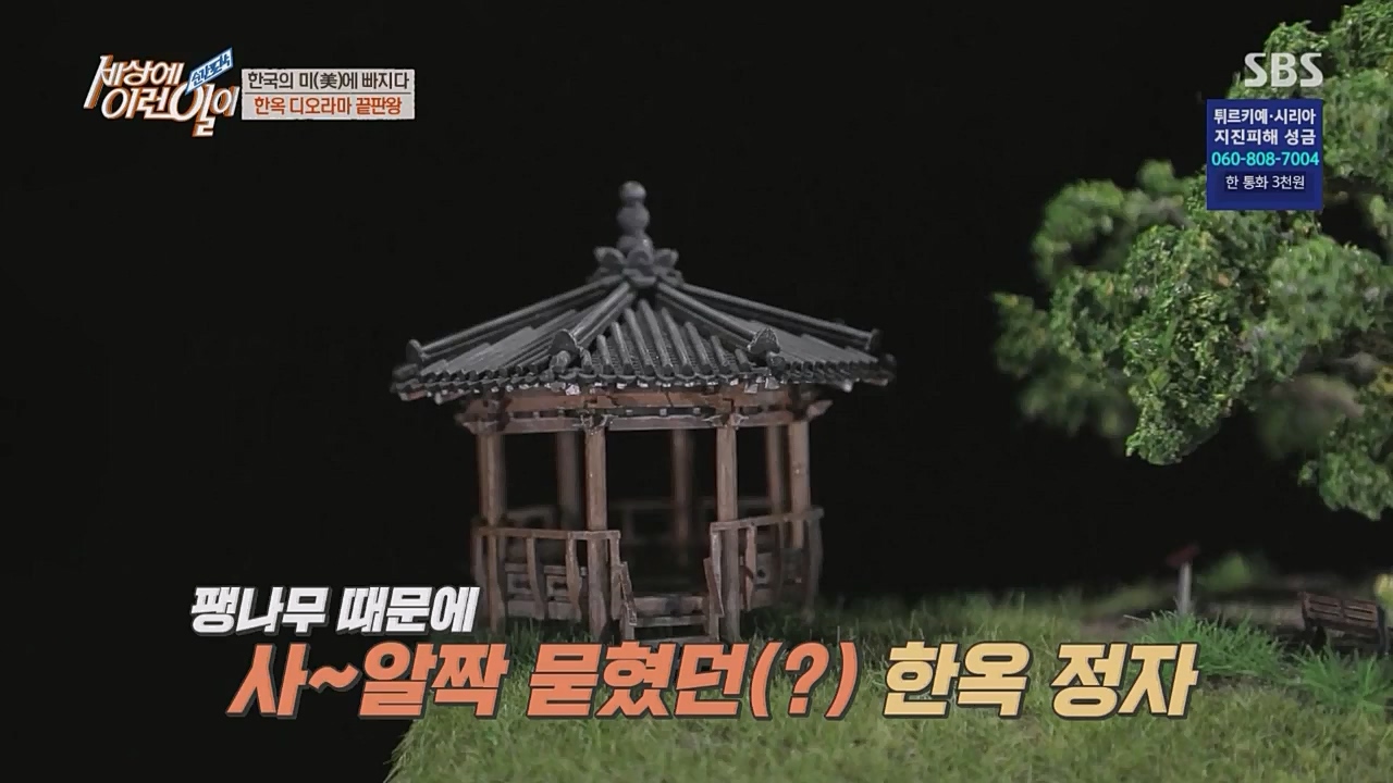 순간포착 세상에 이런 일이.E1217.230215p.WANNA.mp4_20230215_194737.858.jpg