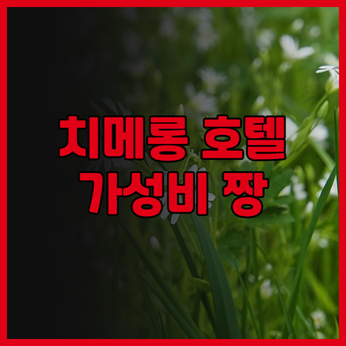 창룽 야생 동물원 여행 필수 숙소 치