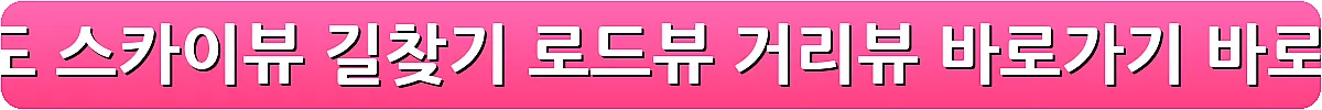 다음지도 스카이뷰 길찾기 로드뷰 거리뷰 바로가기_19