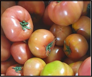 암예방&#44;항암식품-토마토
