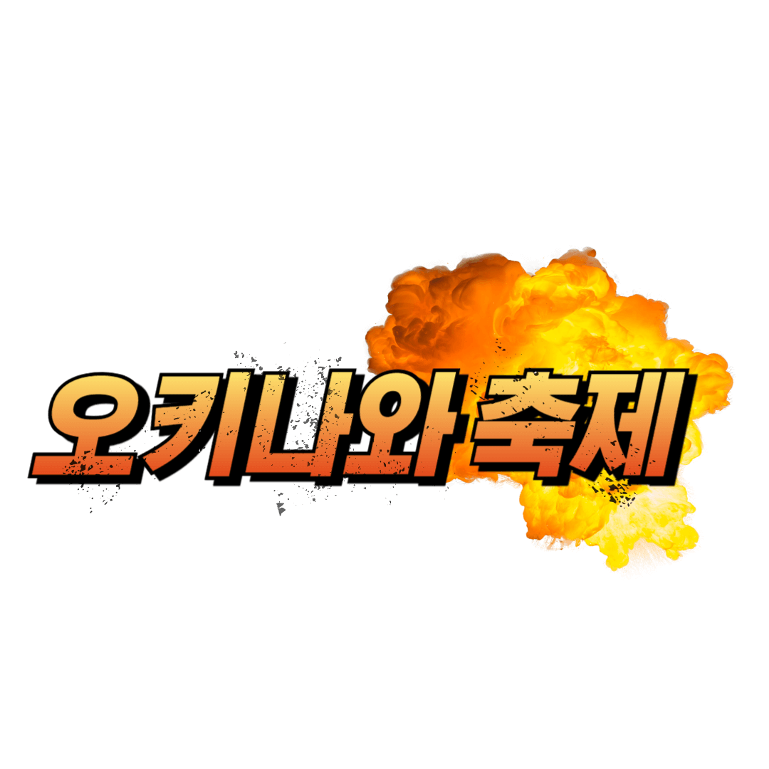 오키나와 축제