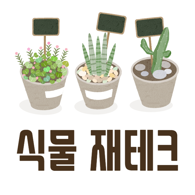 식물 재테크 소개