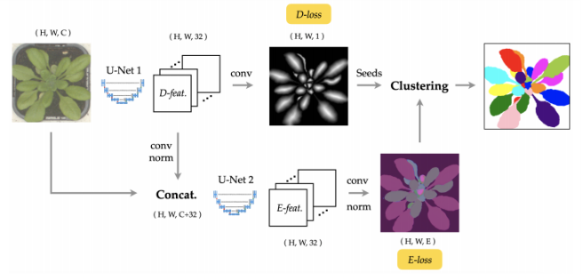 [Vision] Improving Pixel Embedding Learning through Intermediate Distance Regression Supervision for Instance Segmentation