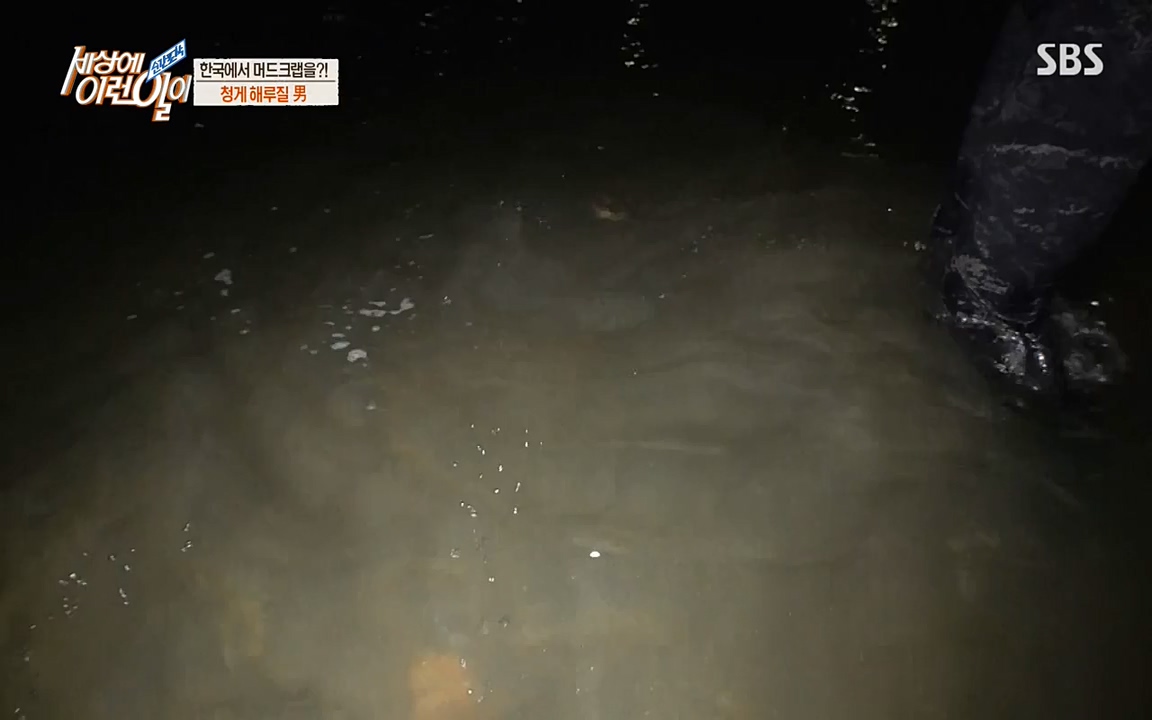 순간포착 세상에 이런일이.E1195.220831p-NEXT.mp4_20220831_201235.399.jpg