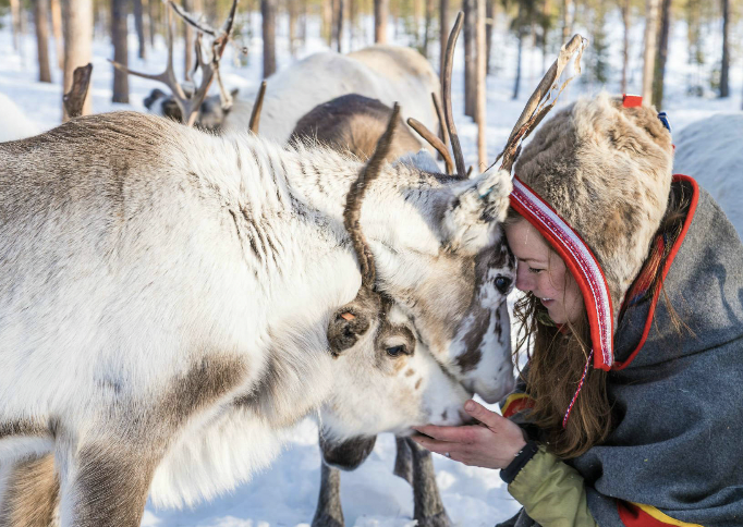 Treehouse, Visit Reindeer Activity