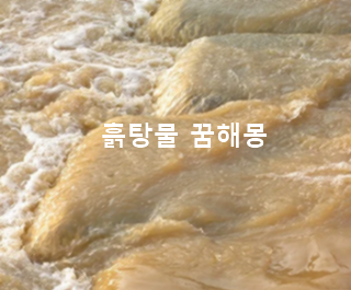 [간단한 해몽] 흙탕물의 꿈: 흙탕물에 빠지는 꿈, 흙탕물을 건너는 꿈, 흙탕물이 메우는 꿈,