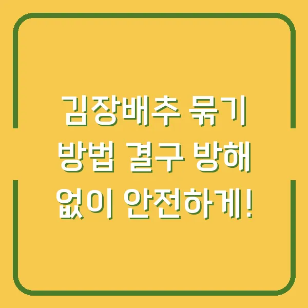 김장배추 묶기 방법 결구 방해 없이 안전하게!