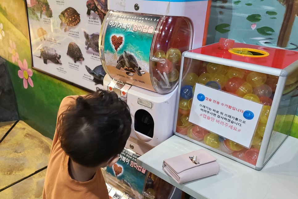 부천 아쿠아리움 부천 아쿠아리움먹이주기 체험 11