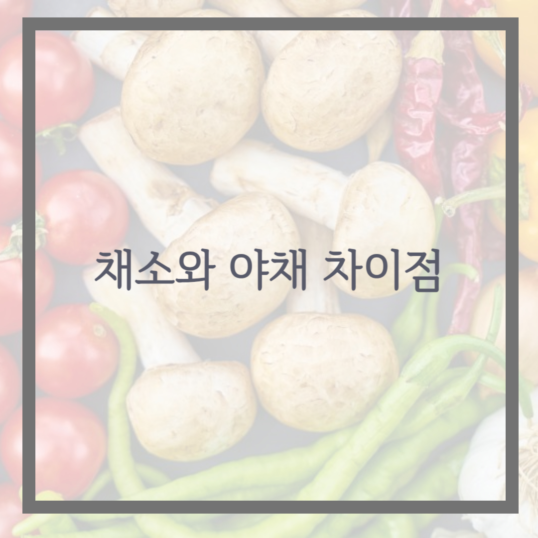 채소와 야채 차이점