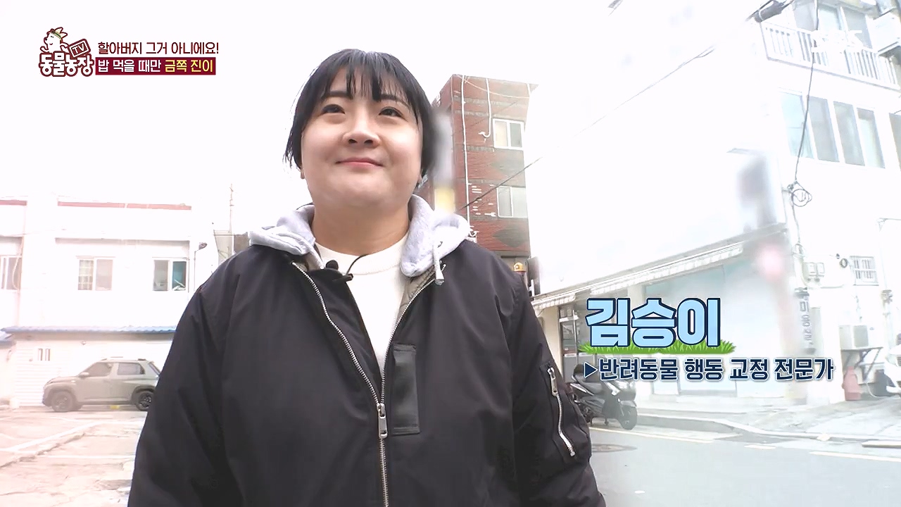 TV 동물농장.E1153.240108p-NEXT.mp4_20240107_173357.574.jpg