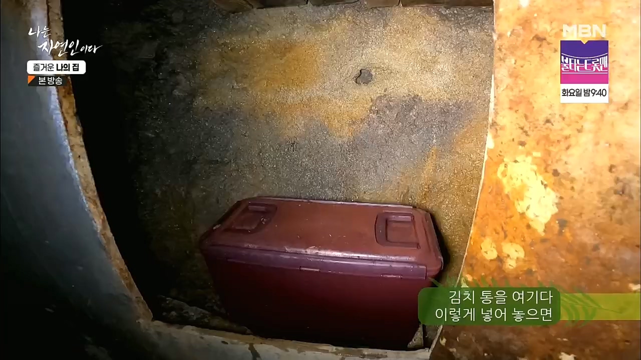 나는 자연인이다.E535.230105p.H264-F1RST.mp4_20230106_203955.286.jpg