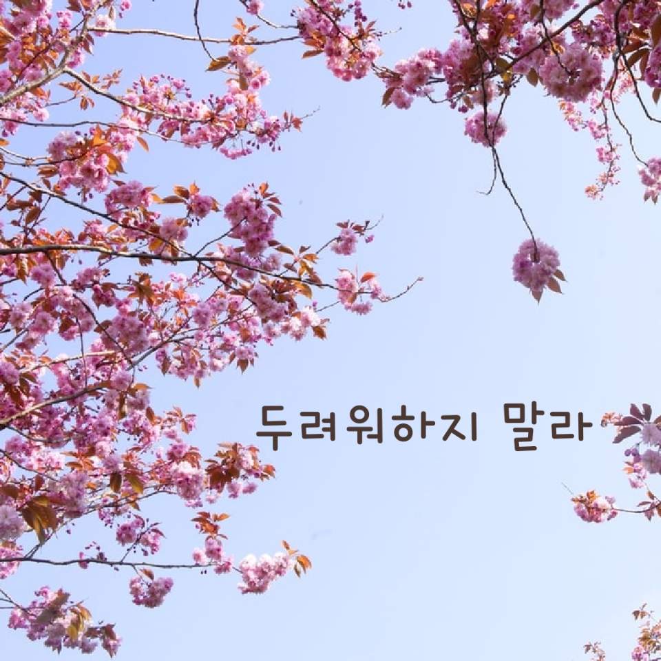  어머니의 마음
